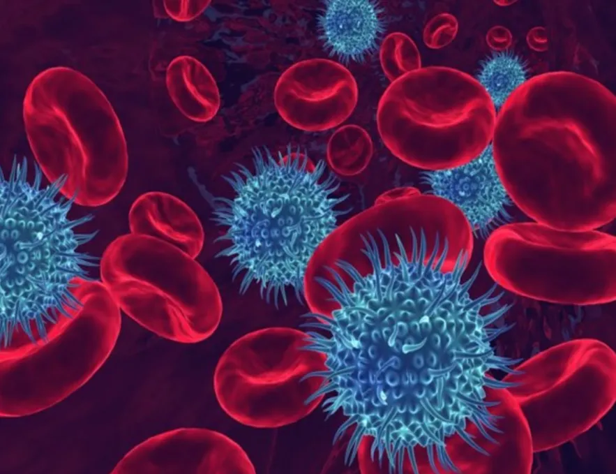 Life Cycle of Malarial Parasite Plasmodium