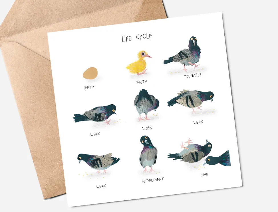 Birds' Life Cycle