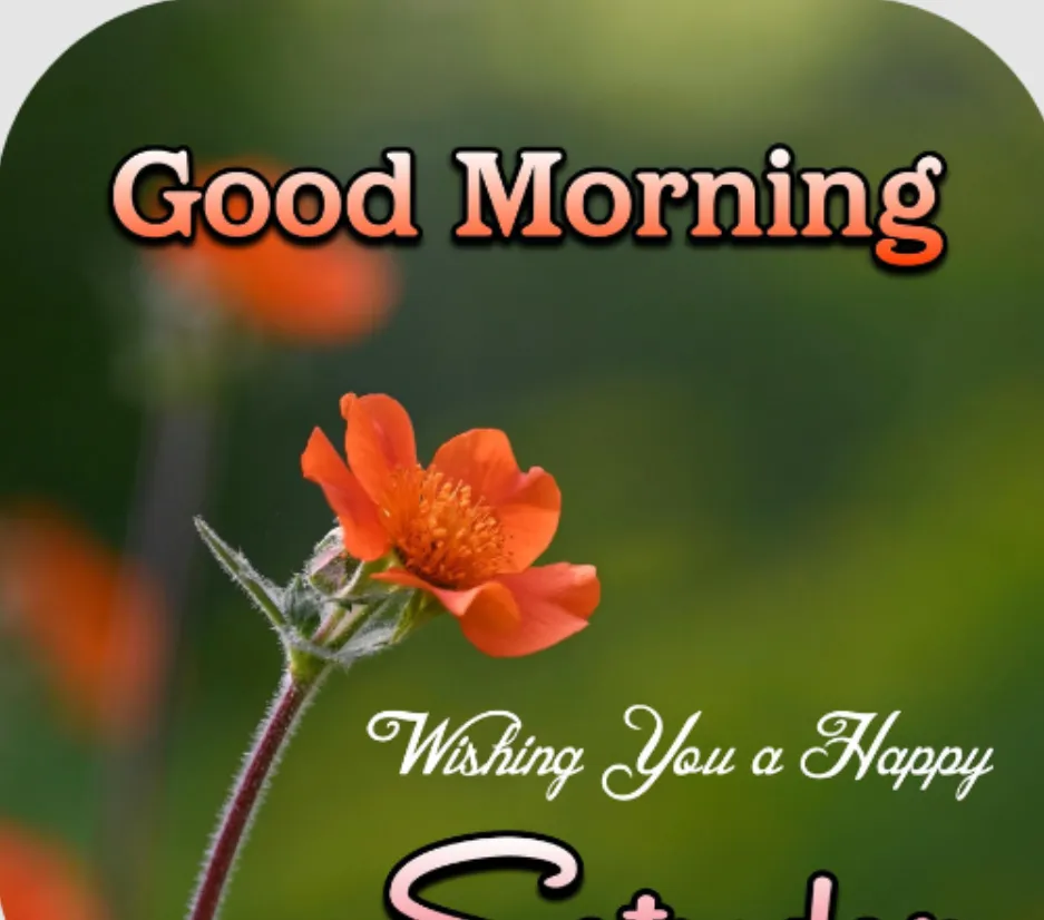 saturday morning blessings